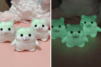 画像】「どうして…」「なかなかシュール」暗闇で光るハムスターの 