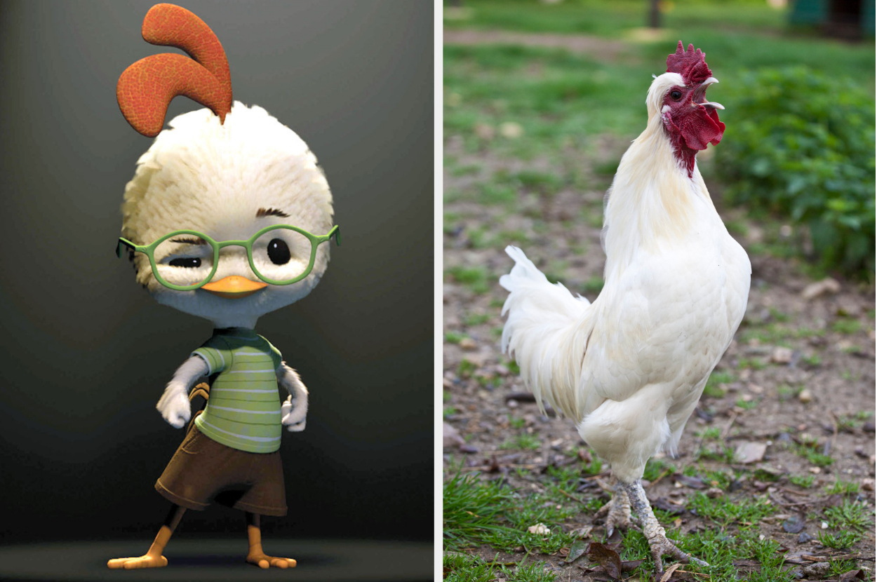 Chicken Little wearing glasses and a cockerel