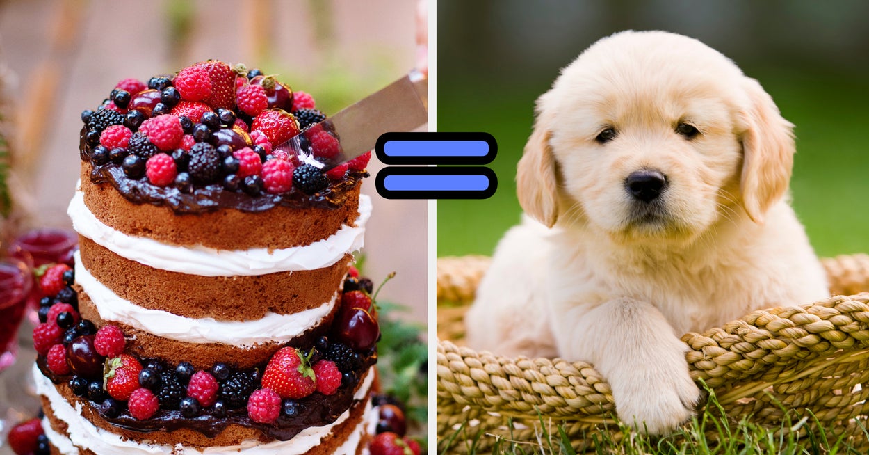 Which Dog Matches Your Personality Based On The Cake You Whip Up which-dog-matches-your-personality-based-on-the-cake-you-whip-up