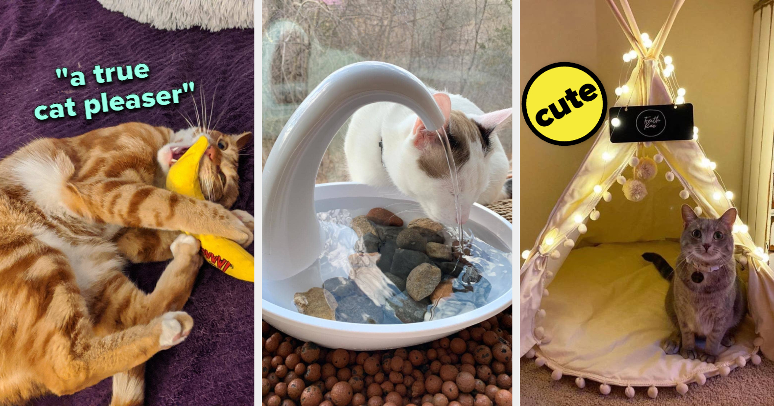 If Your Cat Is The Center Of Your Universe, These 30 Pet Products Will Earn You Infinite Cuddles