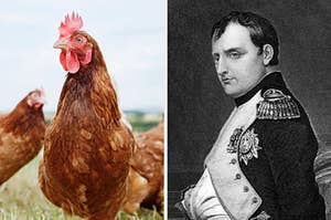 On the left, a chicken in a field, and on the right, Napoleon Bonaparte