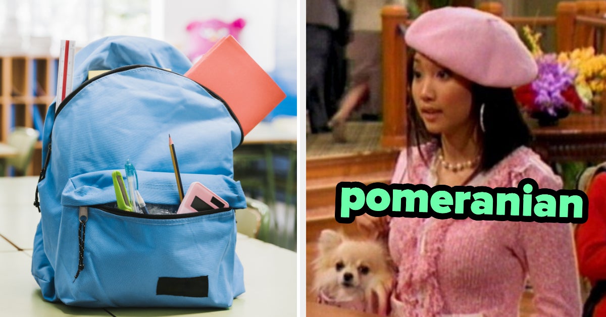 Buys School Supplies See Dog Breed You Are Quiz