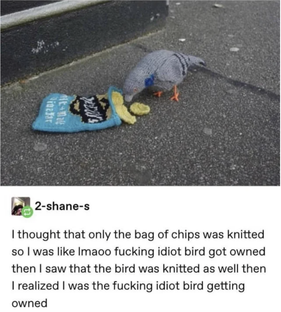 &quot;I thought that only the bag of chips was knitted&quot;
