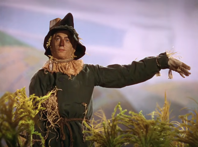 The Scarecrow in a field