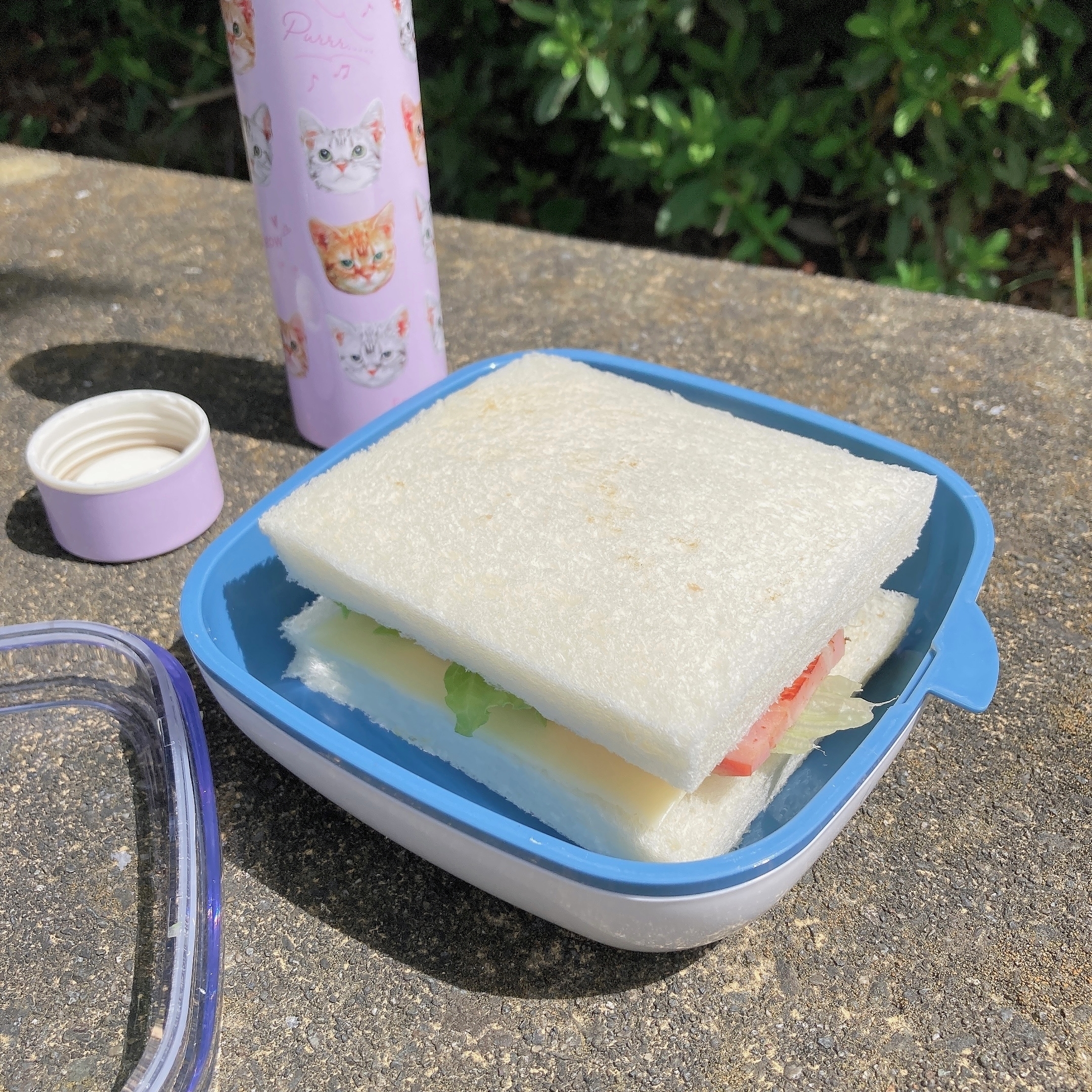 PLAZA（プラザ）で見つけたオススメのランチボックス「joie MSC サンドイッチ オンザゴウ」