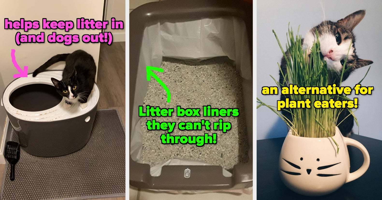 33 Products To Address All The Annoying Parts Of Living With A Cat And Make Your Life Way Easier