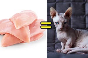 raw chicken on the left and a sphinx cat on the right