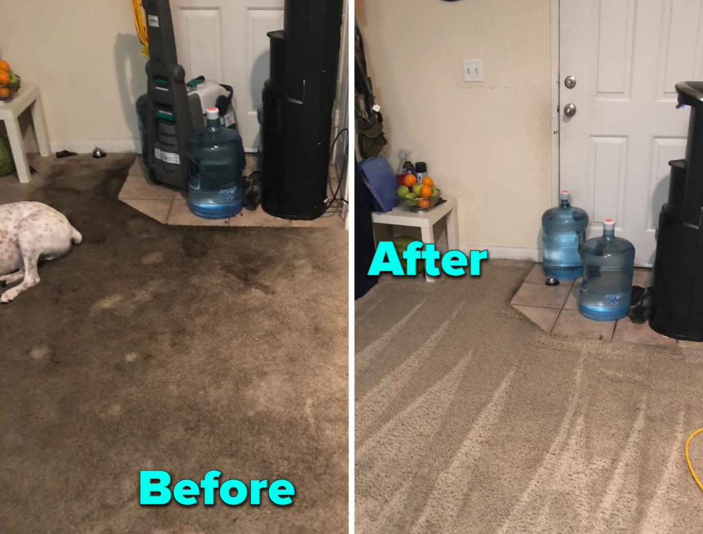 reviewer carpet before and after using cleaner