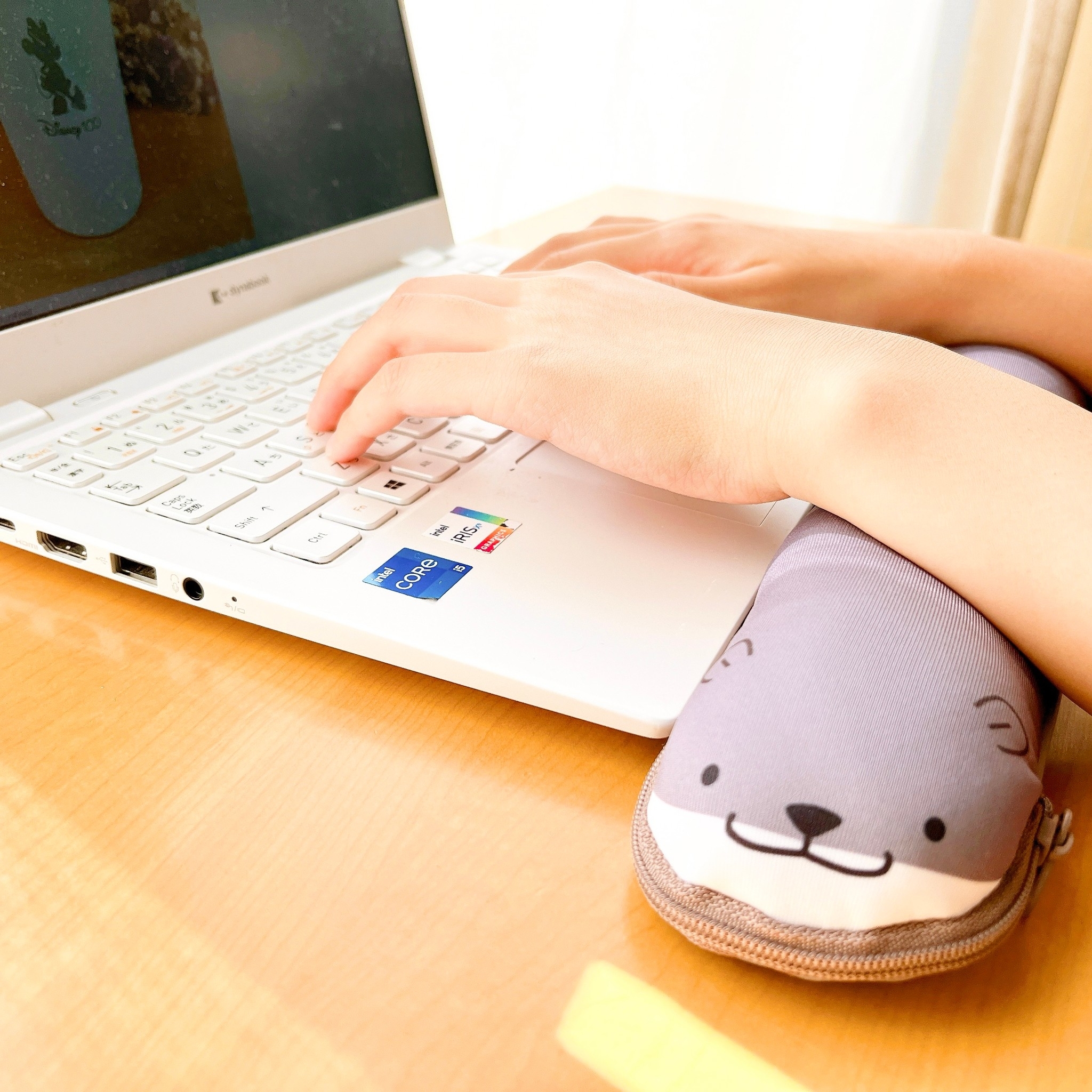 LOFT(ロフト)のオススメの便利グッズ「リララペンケース カワウソ」