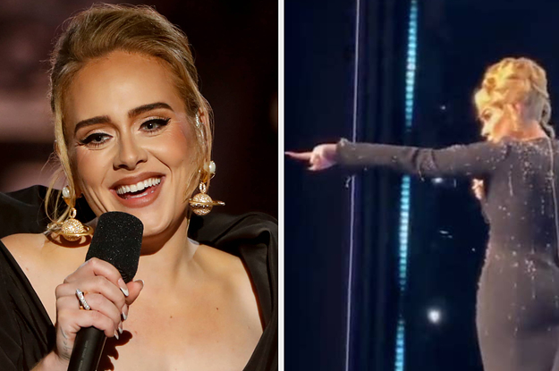 Adele Stopped Her Vegas Residency Mid-Performance To Defend A Fan From A Security Guard