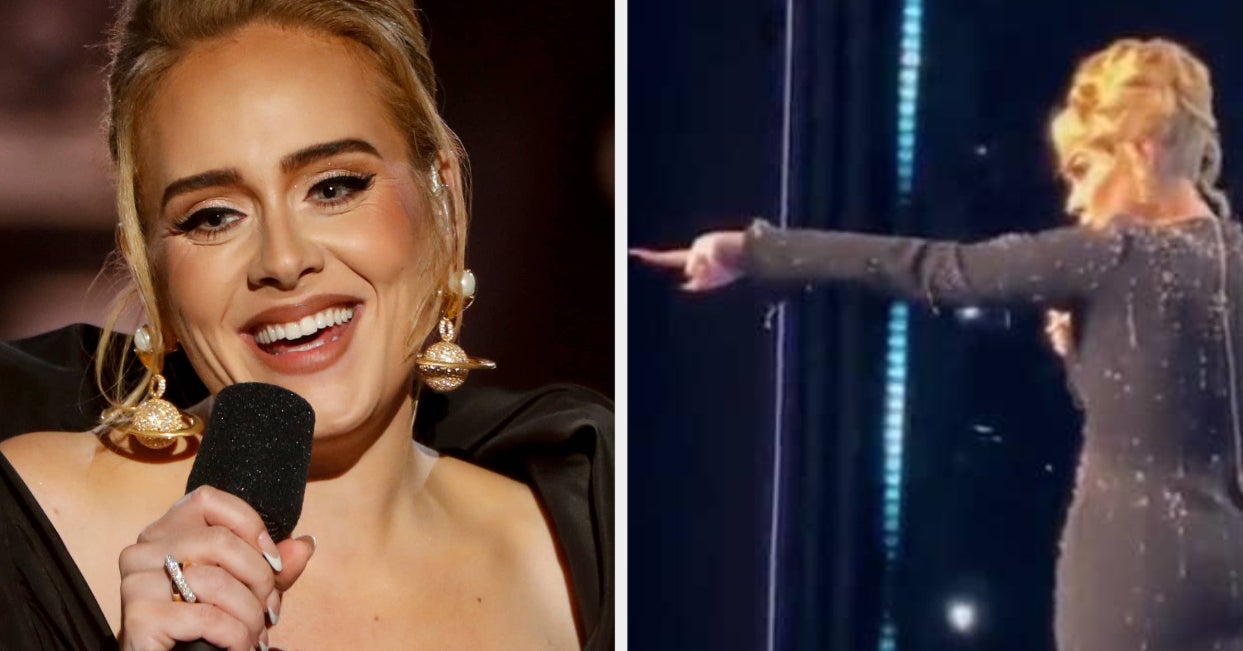 Adele Defends Fan From Security Guard Mid-Performance