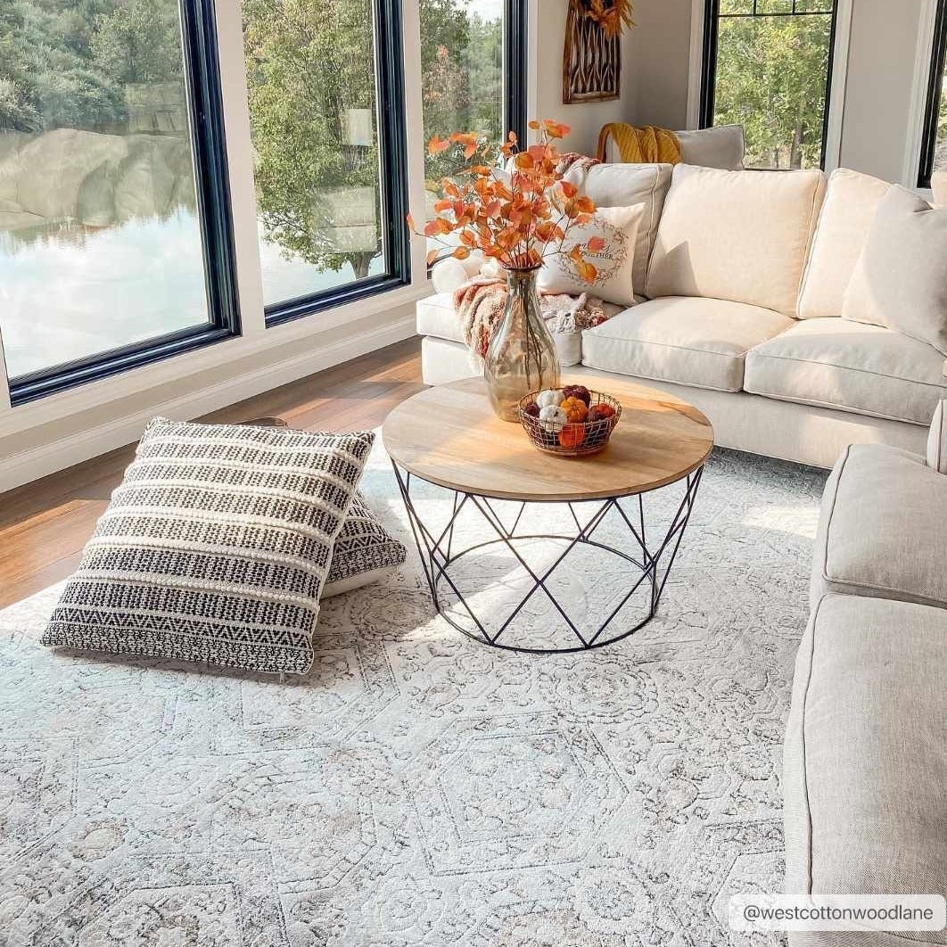 a white area rug in a living room setup