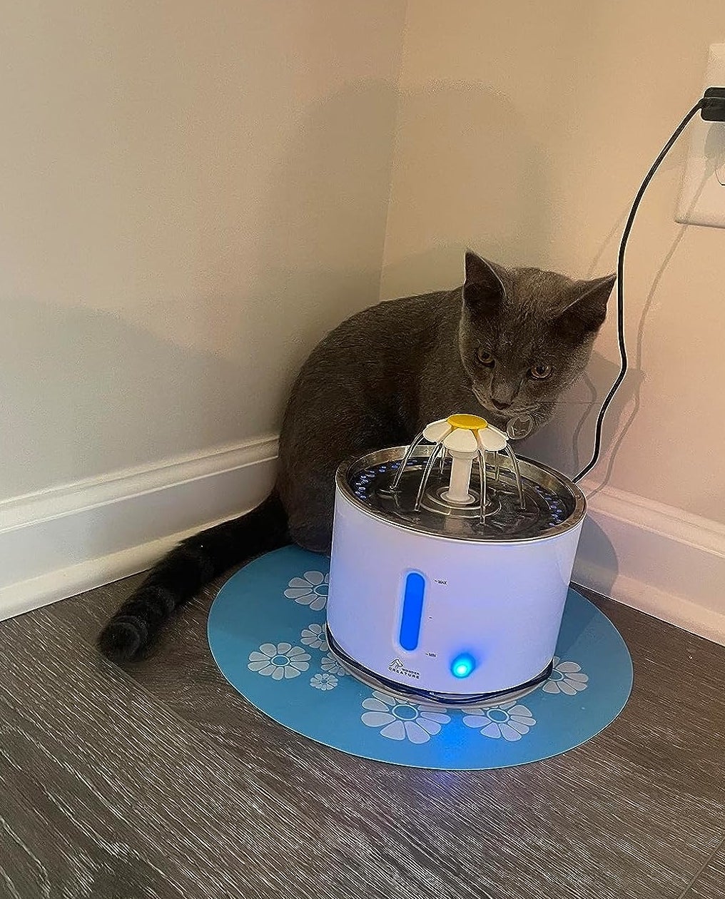 a reviewer photo of a cat sitting next to the plugged in water fountain sititng on a blue mat