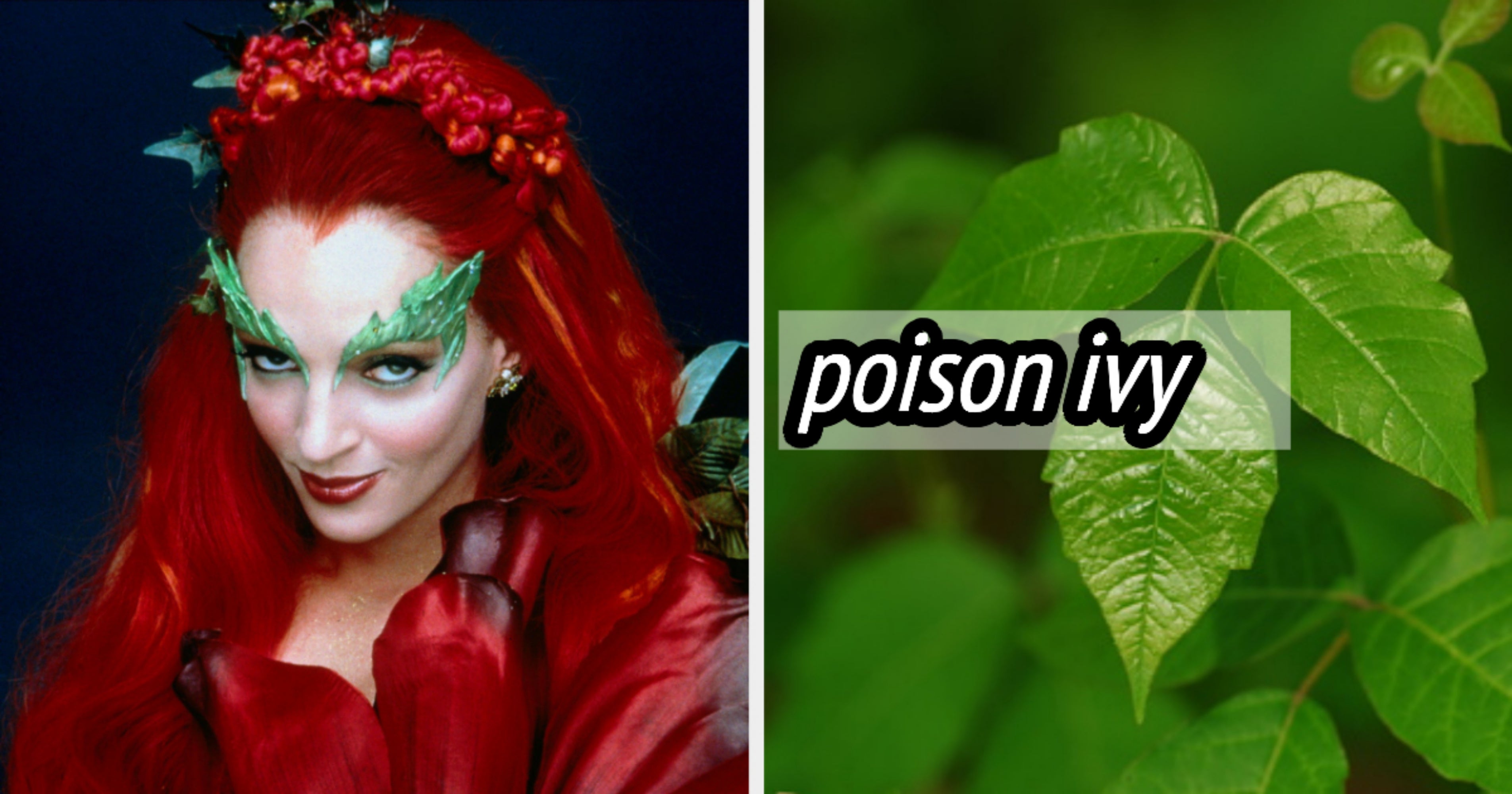Which Poisonous Plant Am I? Plant Quiz
