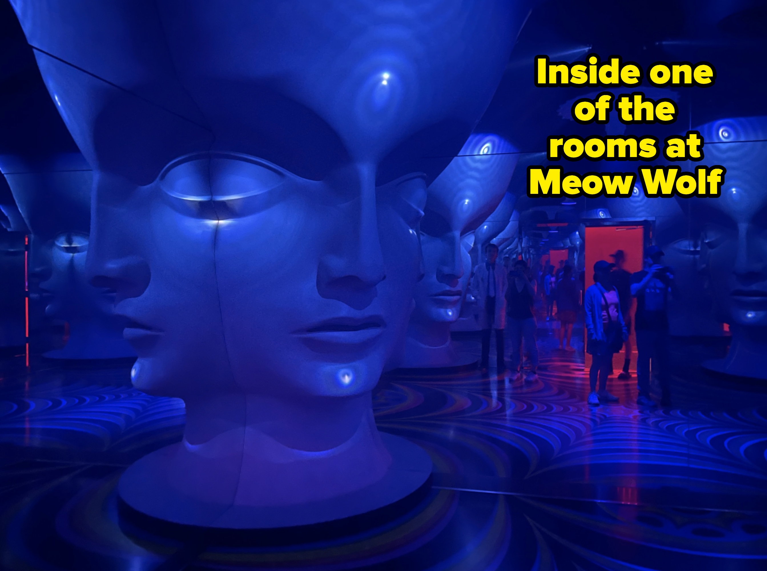Inside a room at Meow Wolf