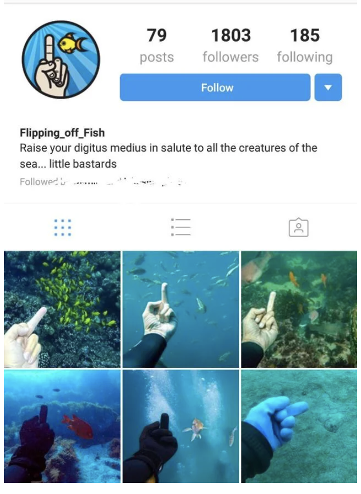 Pics of a person giving the finger in the ocean