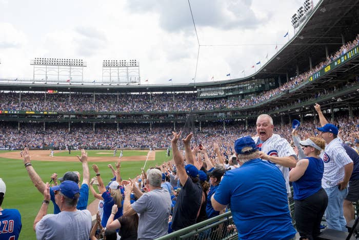 Chicago Cubs baseball fans are cheering