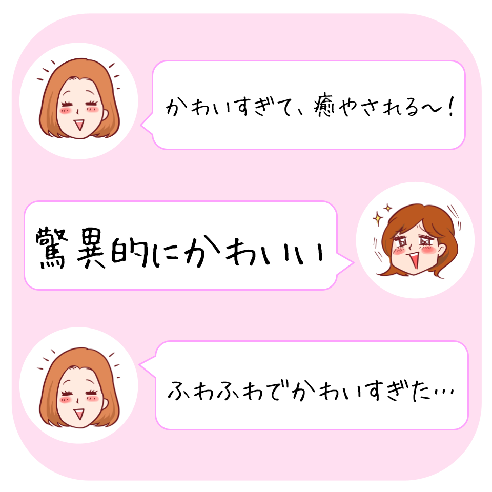 ニトリ デコホームのおすすめ雑貨「【デコホーム商品】スマホクッション(シマエナガ)」