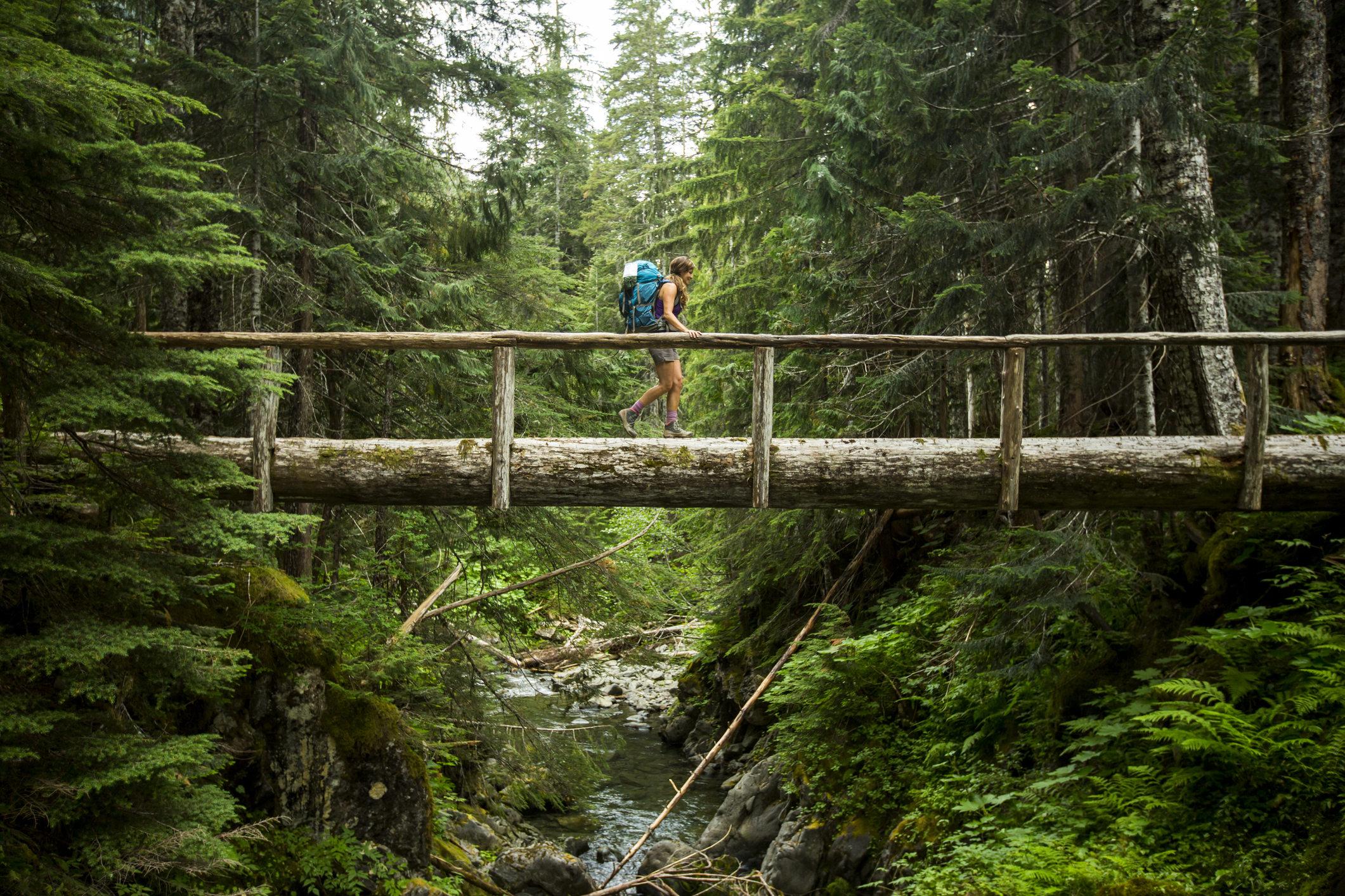 A hiker is walking across a bridge at Olympia National Park