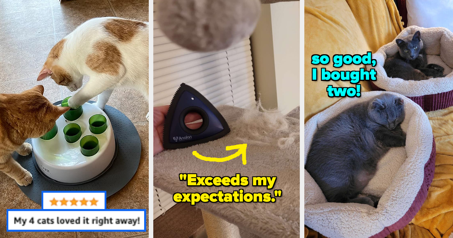 43 Products Reviewers With Multiple Cats Recommend