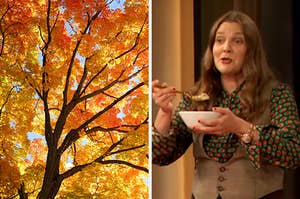 On the left, an autumn tree on a sunny day, and on the right, Drew Barrymore holding a bowl of cereal