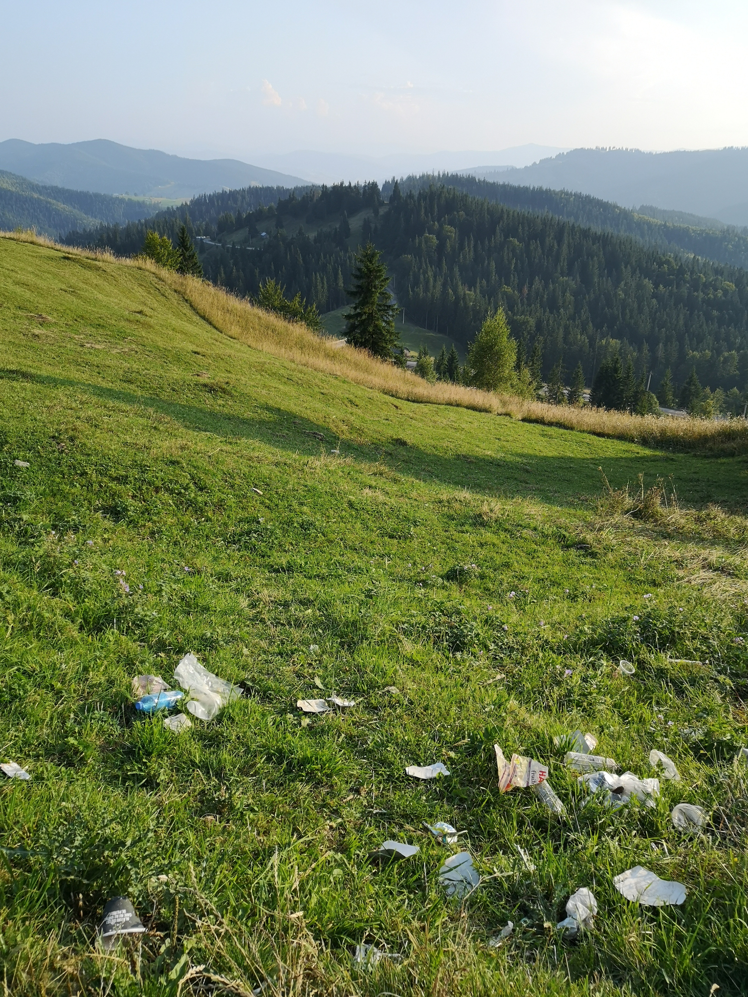 A grassy field with litter