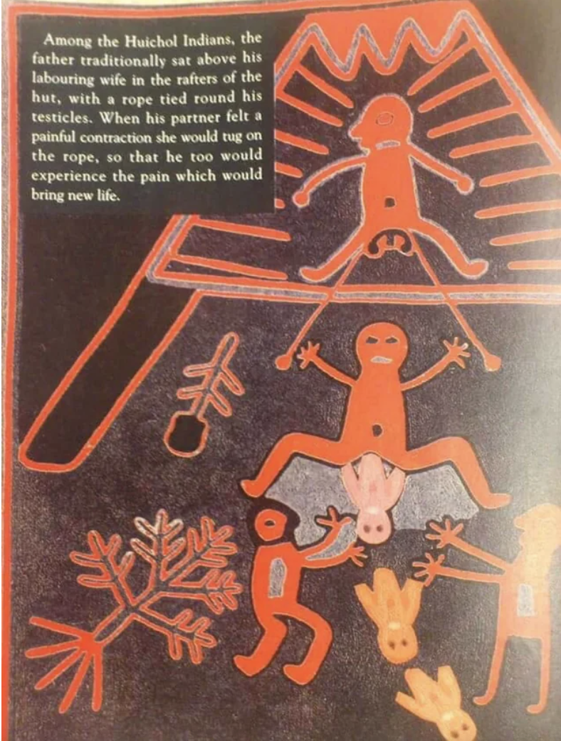 Page from a book describing how in an Indian tribe, the father-to-be would sit above the wife in labor with a rope tied around his testicles so she could tug on the rope during each painful contraction so he could feel her pain too