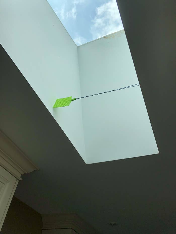 A fly swatter stuck in the skylight