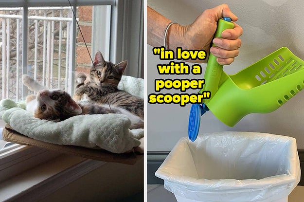 27 Underrated Pet Products That Are Actually Worth Purchasing - Vimarsana News