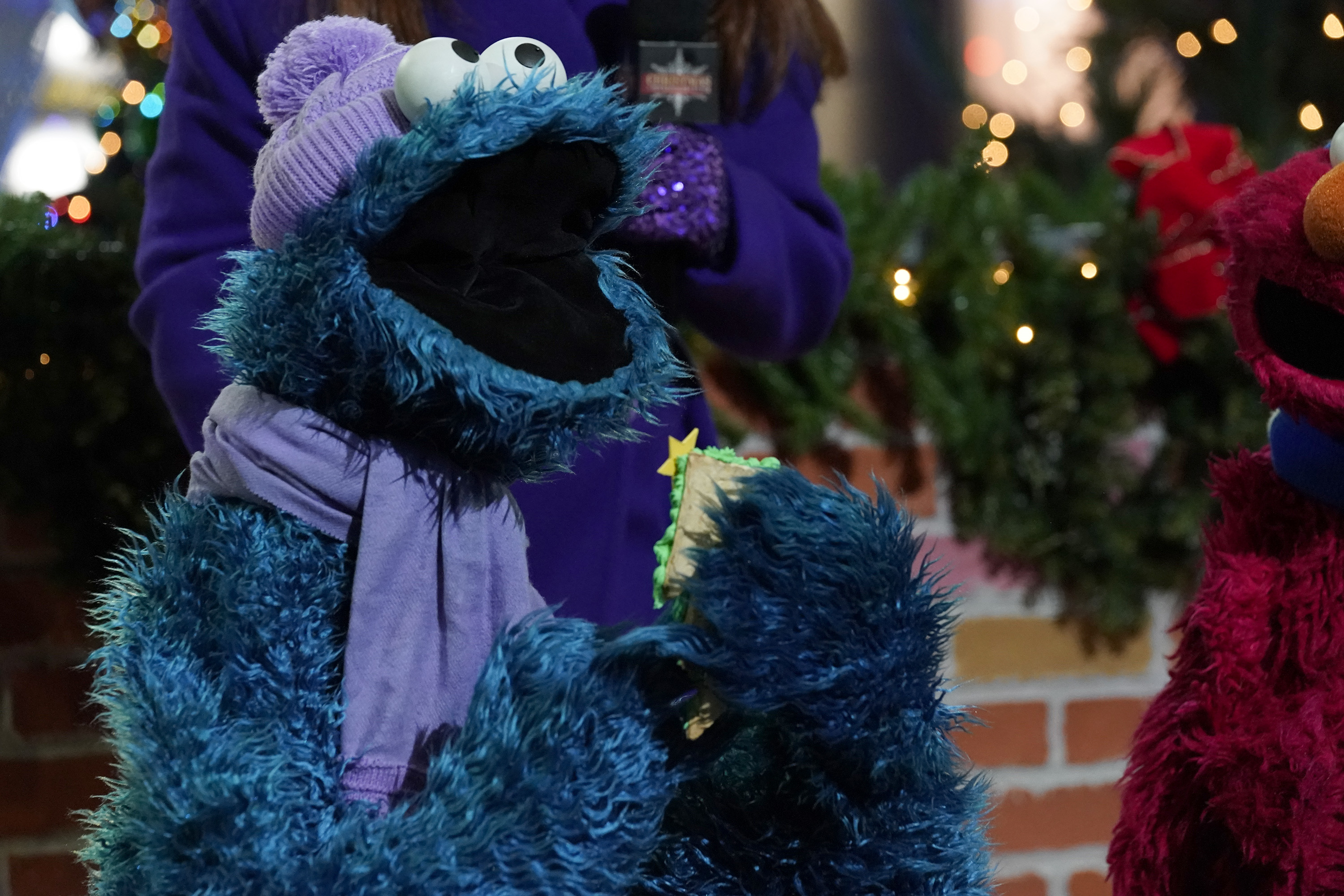 Close-up of the Cookie Monster