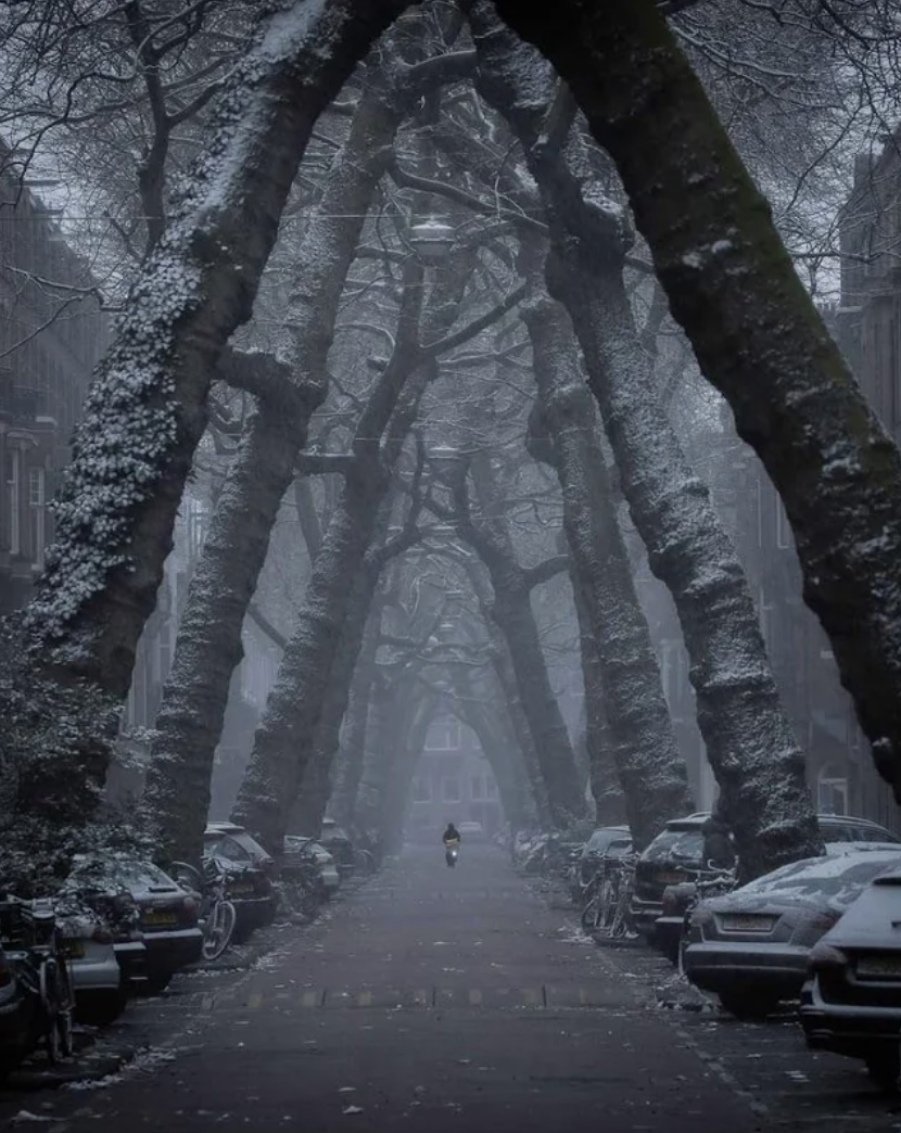 A street in winter