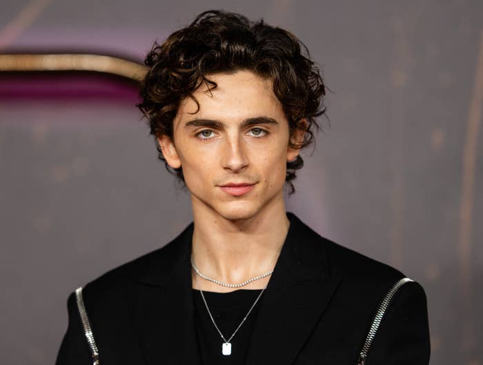 A closeup of Timothee Chalamet