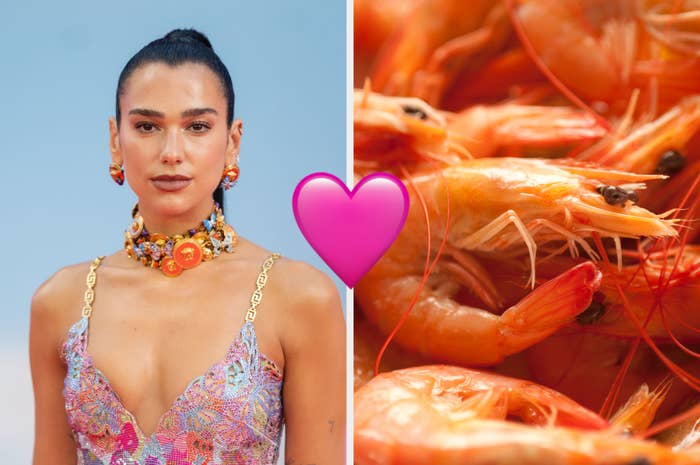 dua lipa at the barbie premiere next to a photo of shrimp