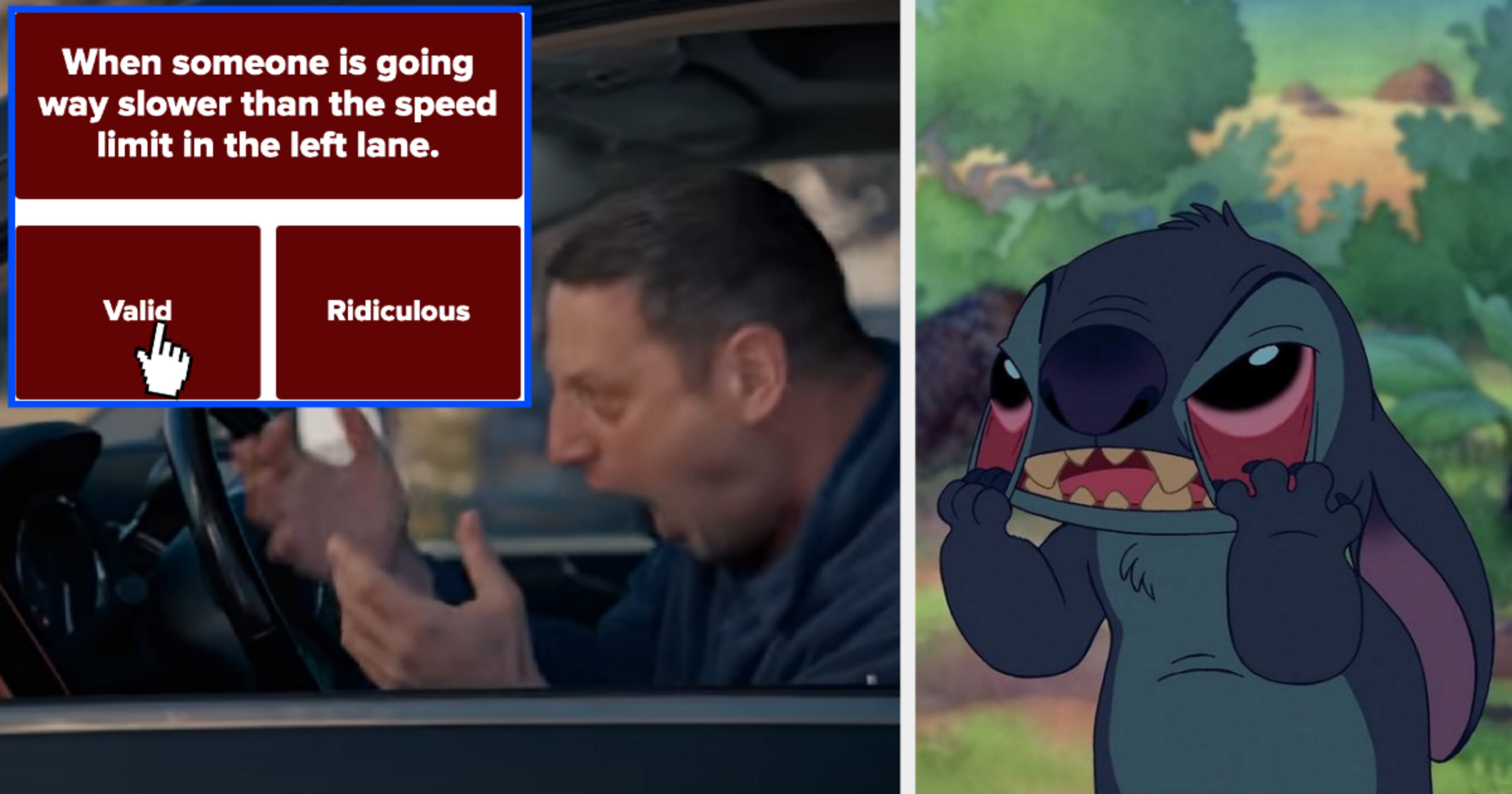 Valid Or Ridiculous Pet Peeves Poll Quiz