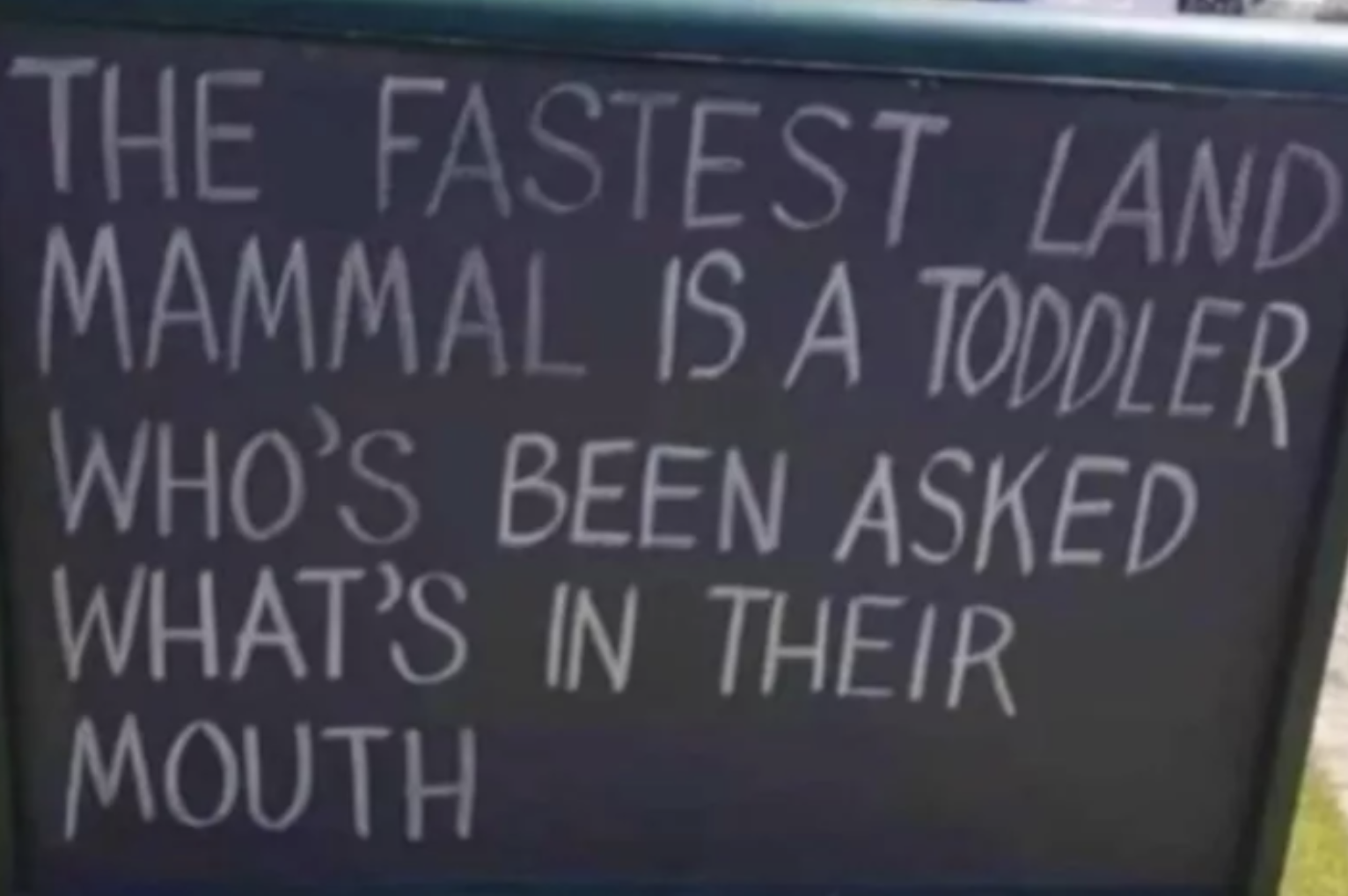 the fastest land mammal is a toddler who&#x27;s been asked what&#x27;s in their mouth