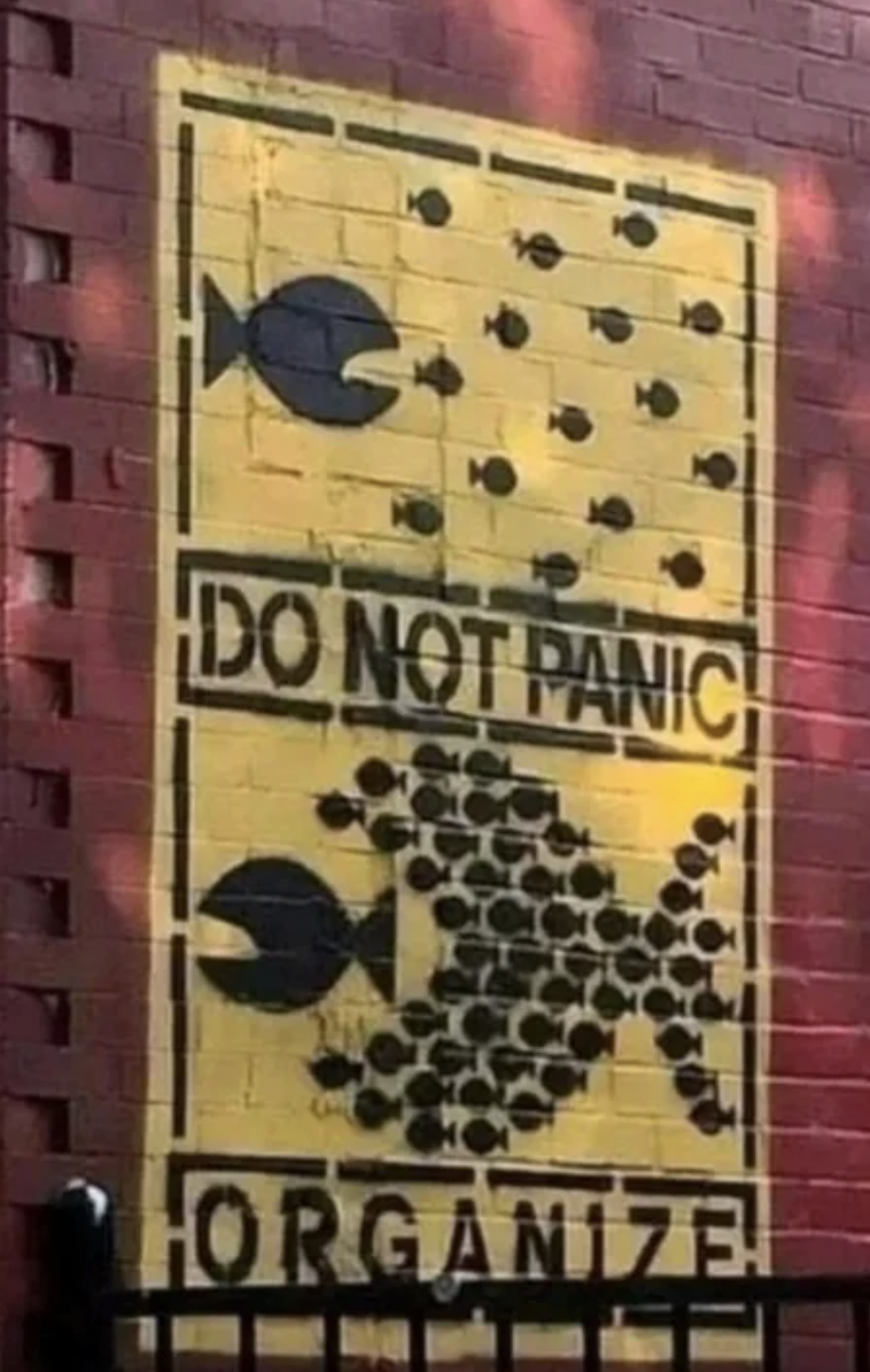 do not panic, organize with pac man fish