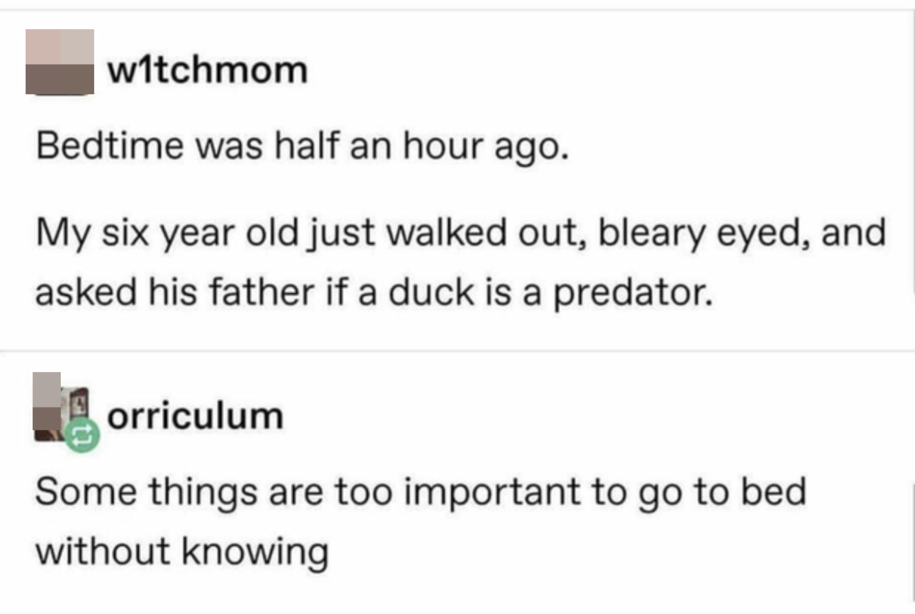 A child gets up after going to bed and asks if a duck is a predator