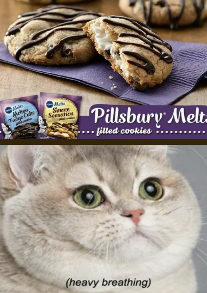 Close-up of baked chocolate fudge and s&#x27;more cookies and a hungry-looking cat with caption &quot;heavy breathing&quot;