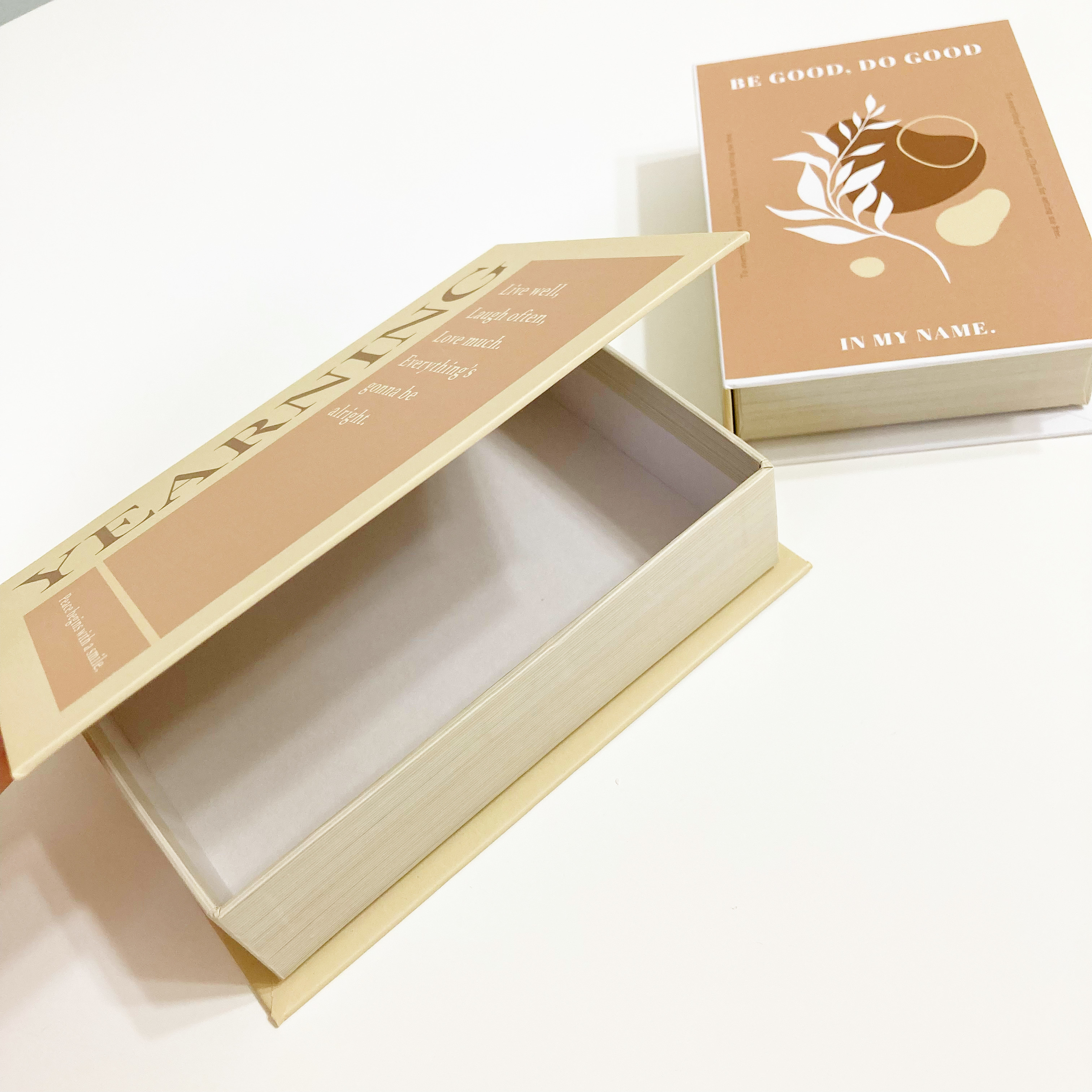 DAISO(ダイソー)の収納アイテム「インテリアブック型収納(A、3サイズ)」