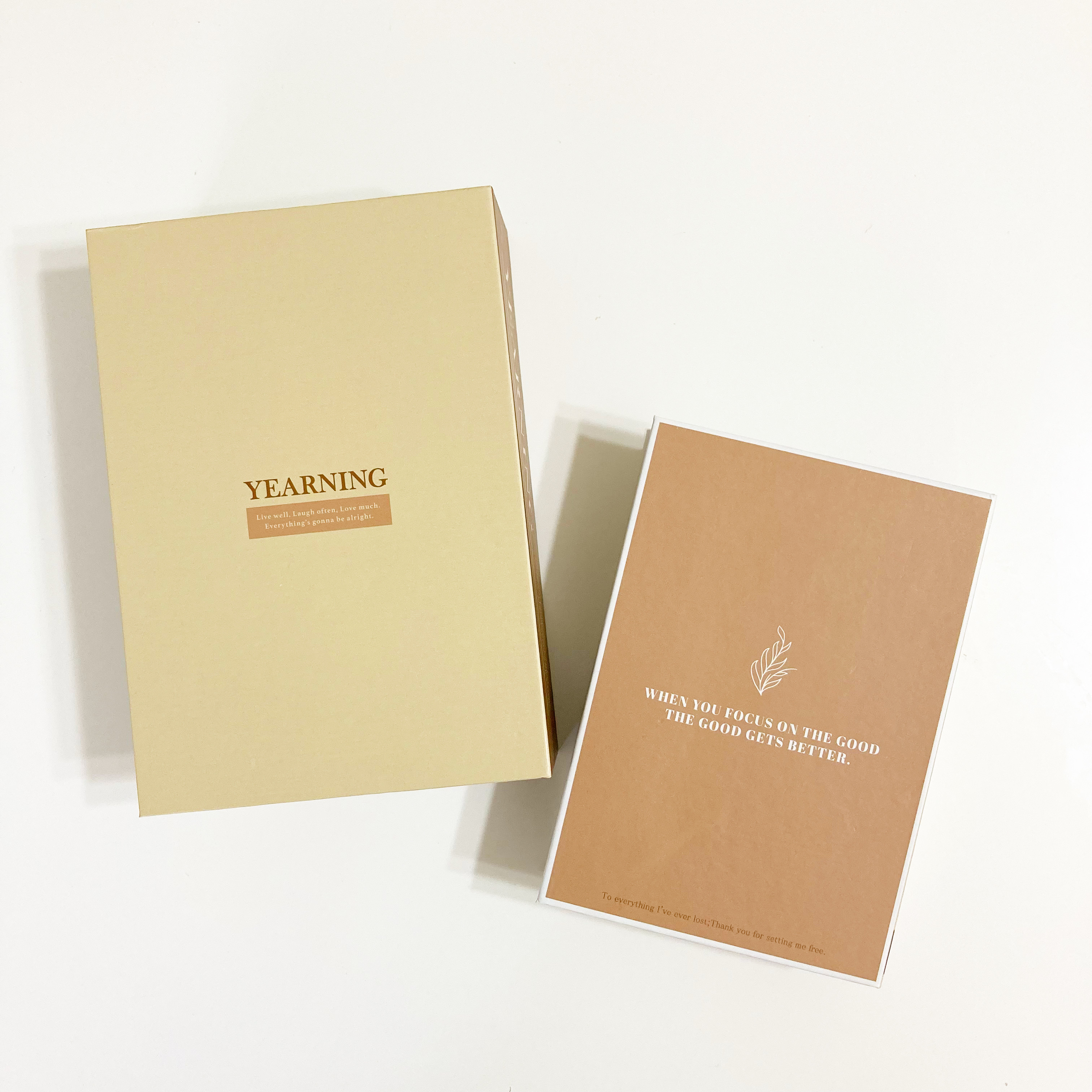 DAISO(ダイソー)の収納アイテム「インテリアブック型収納(A、3サイズ)」