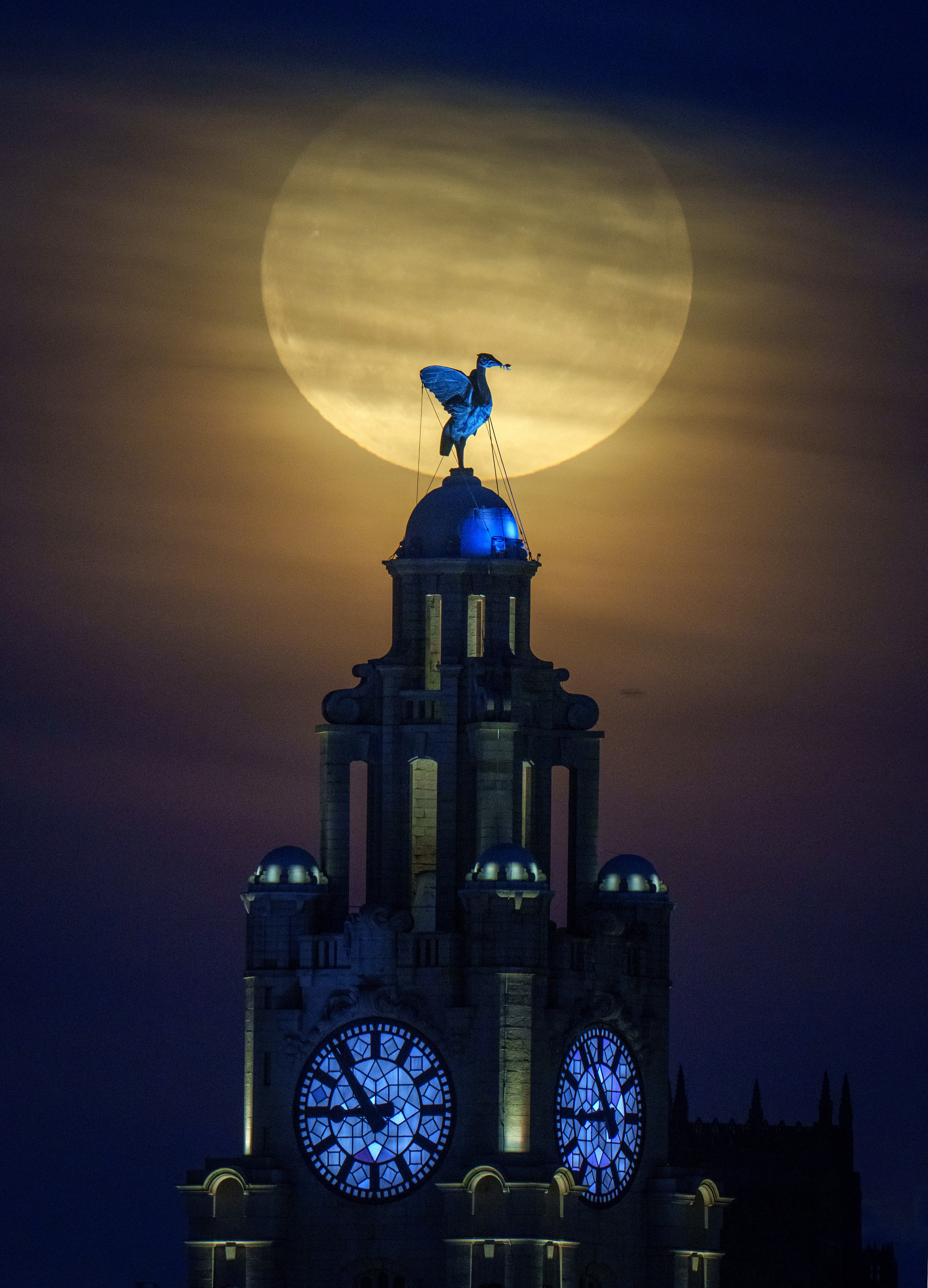 The blue supermoon is seen behind the Royal Liver Building in Liverpool, United Kingdom