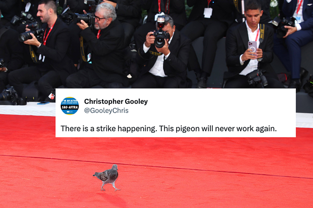 A Pigeon Is A Viral Star After Walking The Venice Film Festival Red Carpet, And The Memes Are The Best Part