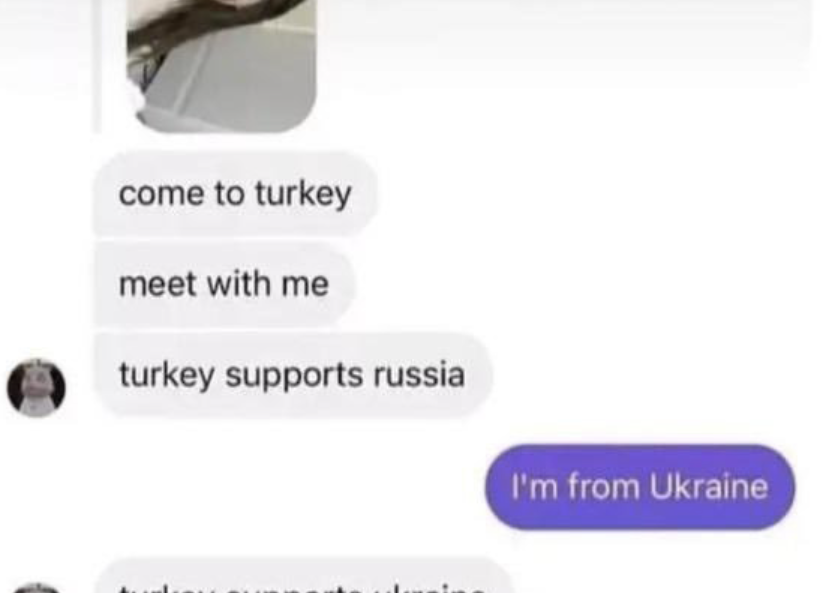 &quot;turkey supports ukraine&quot;
