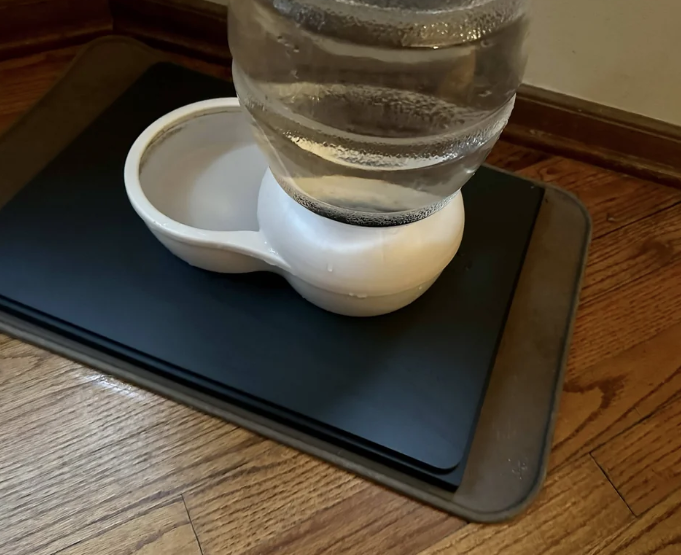 A water bowl on a smart shelf