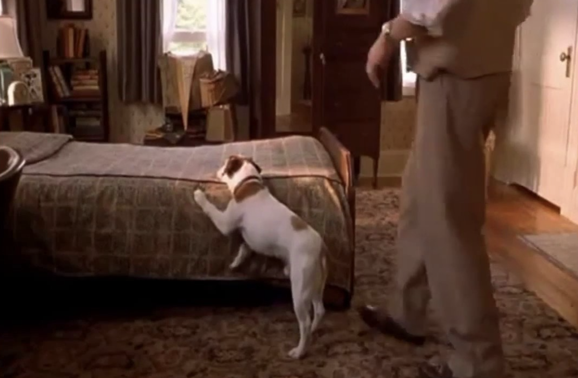 Screenshot from &quot;My Dog Skip&quot;