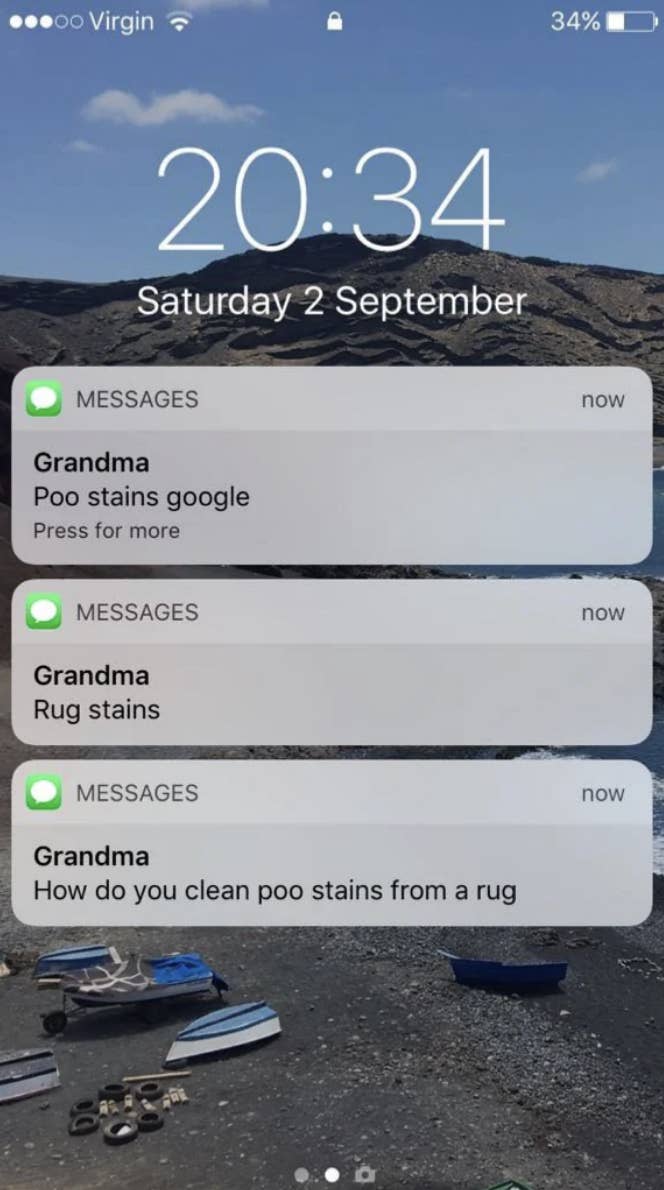 A series of three text messages reads &quot;how do you clean poo stains from a rug, rug stains, poo stains google&quot;
