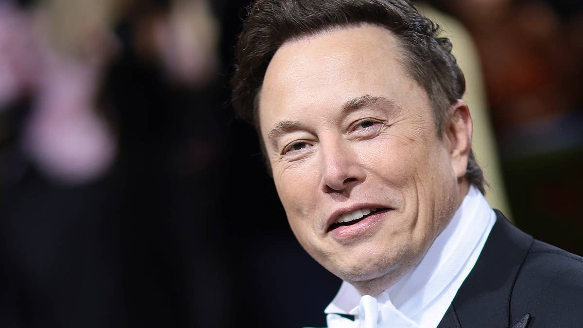 The Tesla CEO also revealed the cage match could be streamed on the social media platform formerly known as Twitter.