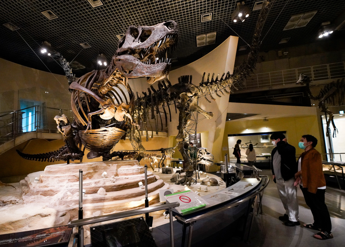 その他国立科学博物館開館100年記念 古生物シリーズ 恐竜 美術メダル・コレクション