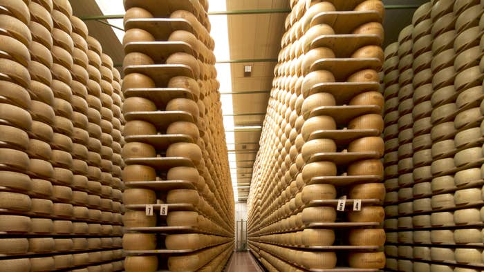 cheese wheels are seen stacked