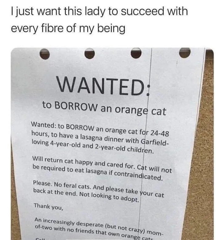 A mom posts a &quot;Wanted&quot; sign asking to borrow an orange cat for 24–48 hours to have a lasagna dinner with Garfield-loving 4-year-old and 2-year-old; &quot;will return cat happy and cared for&quot;